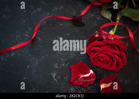 Single dark red rose for mothers day Stock Photo