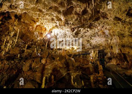 The bear cave pestera ursilor at chiscau in romania Stock Photo