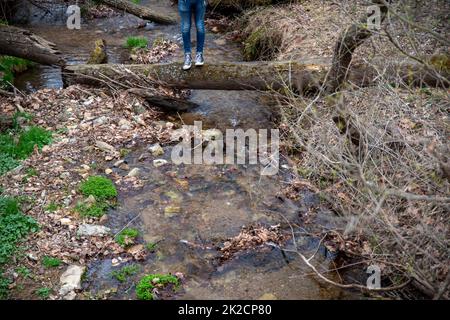 A person stands on a fallen tree footbridge over a woodland stream Stock Photo