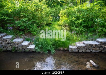 Double antique stone steps by green lush woodland descend to calm water Stock Photo