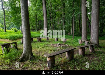 Rustic empty benches around woodland fire pit Stock Photo