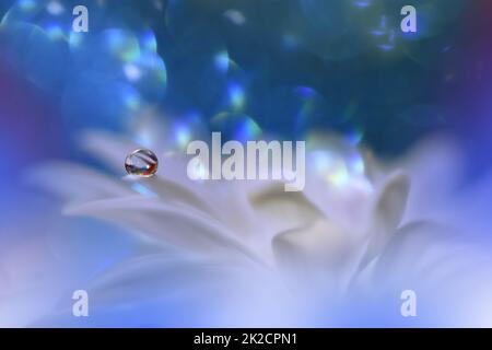 Beautiful Macro Shot of Magic Flowers.Border Art Design.Magic Light.Extreme Close up Photography.Conceptual Abstract Image.White and Blue Background.Fantasy Art.Creative Wallpaper.Beautiful Nature Background.Amazing Spring Flower.Water Drop.Copy Space. Stock Photo