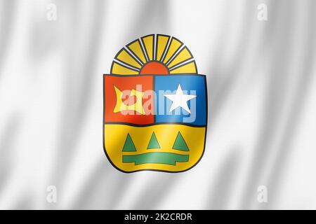 Quintana Roo state flag, Mexico waving banner collection. 3D ...