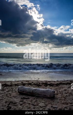 Tree trunk on a beach and cloudy seascape at sunset Stock Photo