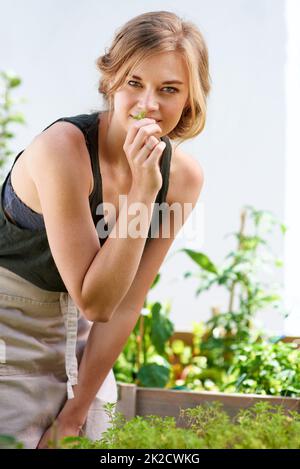 These herbs will be perfect in my next dish. A young woman smelling herbs in her garden. Stock Photo