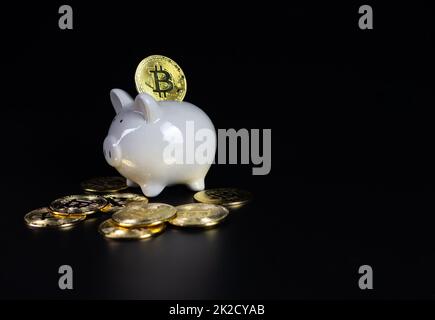 Bitcoin coins are on the back of a white piggy bank. on a black background Stock Photo