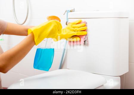 Hand of Asian woman cleaning toilet seat using liquid spray and pink cloth wipe restroom at house Stock Photo