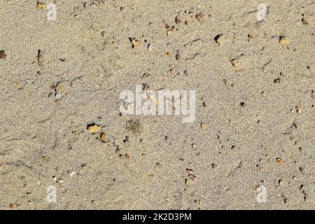 Background from construction sand Stock Photo