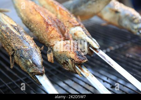 Fresh Mackerel on Stick at Barbecue Party. Germany Stock Photo