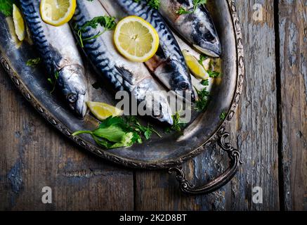 Mackerels on silver plate Stock Photo
