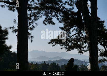 A sign on the side of a tree Stock Photo