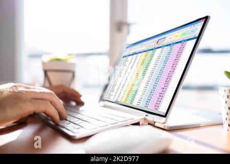 Electronic Spreadsheet Analyst Or Auditor Using Software Stock Photo