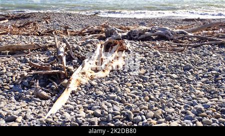 A beach of stones, with driftwood including an embedded tree trunk,  at Te Horo beach, NZ Stock Photo