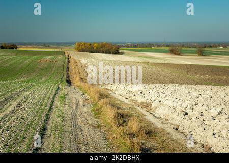 Dirt road through hilly farmland, Staw, Poland Stock Photo