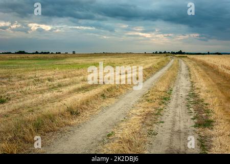 Dirt road through fields and cloudy sky Stock Photo