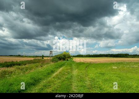Dirt road through the fields and cloudy sky Stock Photo