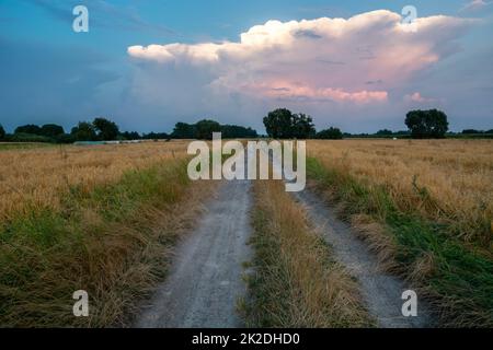Dirt road through the fields and the evening sky Stock Photo