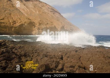 Sea cliff in the Entradero de Machin. Stock Photo