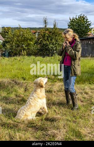 Female Dog Trainer shows her dog Attention Stock Photo