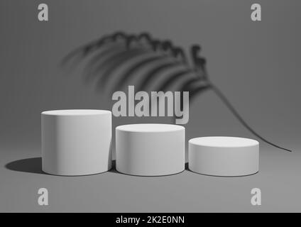 Dark graphite gray, black and white ,3D render of a simple, minimal product display composition backdrop with three podiums or stands and palm leaf shadows in the background for nature products Stock Photo