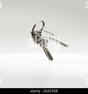 Two keys on a ring. Stock Photo