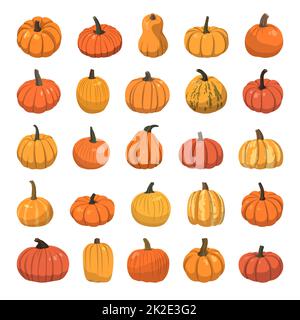 Set of realistic big orange pumpkins on white background - Vector Stock ...