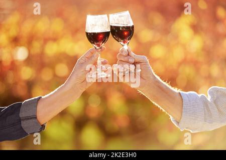 Toasting to the good life. Cropped shot of a senior couple making a toast together in front of vineyards in the autumn. Stock Photo
