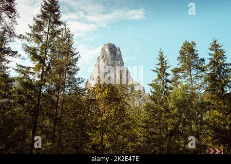 Mountains among the firs Stock Photo