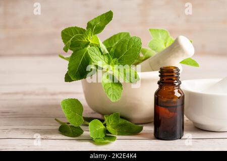 Alternative medicine herbal organic herbs mint leaf natural supplements for healthy good life. Stock Photo