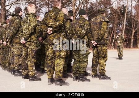 Obeying their superior. A group of soldiers at attention. Stock Photo