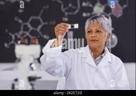 She has a passion for science. A senior female scientist working in her lab. Stock Photo