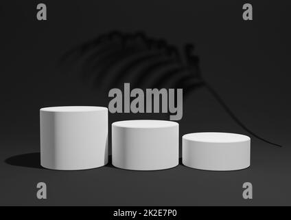 Black, dark gray, black and white ,3D render of a simple, minimal product display composition backdrop with three podiums or stands and palm leaf shadows in the background for nature products Stock Photo