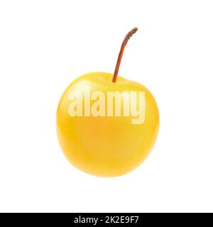Single mirabele plum (Prunus domestica) isolated on white background. Stock Photo