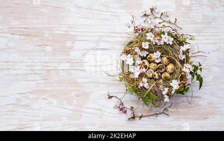 Nest with Easter eggs and blooming branches on white wooden background Stock Photo
