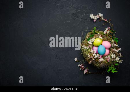 Nest with Easter eggs and blooming branches on black background Stock Photo