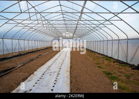 Empty vegetable greenhouse prepared with row covers Stock Photo