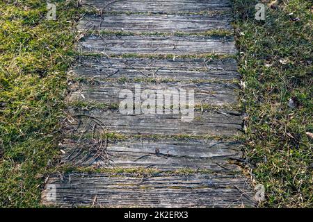 Charming worn old wooden foot path through green grass Stock Photo