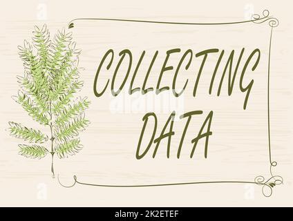 Inspiration showing sign Collecting Data. Business showcase Gathering and measuring information on variables of interest Frame Decorated With Colorful Flowers And Foliage Arranged Harmoniously. Stock Photo
