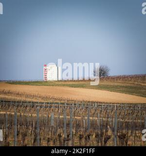 residential building of a city with vineyards in front Stock Photo