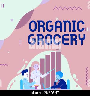 Text sign showing Organic Grocery. Business approach market with foods grown without the use of fertilizers Lady Drawing Explaining To Her Teammate Process Steps. Stock Photo