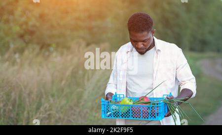 African American farmer walks carrying production in box Stock Photo