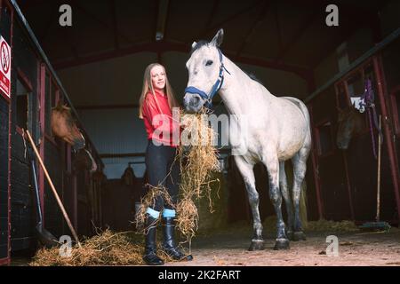 Snacking on some A-grade hay. Shot of a teenage girl feeding her horse some hay. Stock Photo
