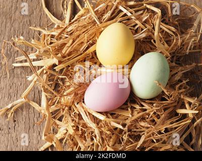 With natural dyes self-dyed organic eggs in a straw nest Stock Photo