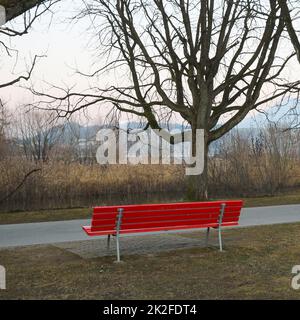 Red bench and tree in a park at the shore of Lake Lucerne. Stock Photo