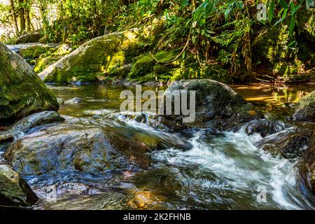 Stream running through the rocks and vegetation of the rainforest Stock Photo