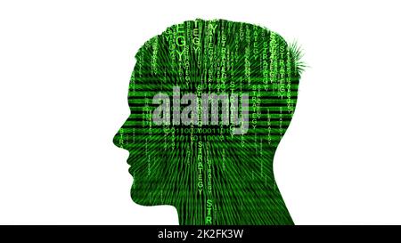 Silhouette of man strategy data concept Stock Photo