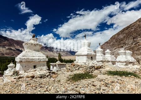 Whitewashed chortens Tibetan Buddhist stupas . Nubra valley, Ladakh, India Stock Photo