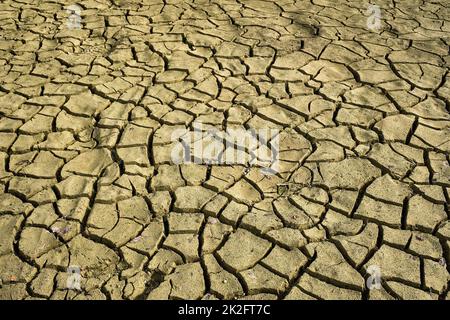 Cracked dry earth with cracks texture Stock Photo