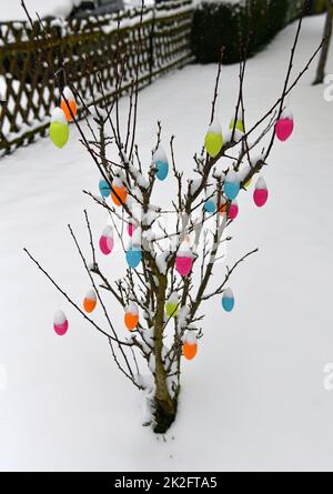 Colorful easter eggs with fresh snow Stock Photo
