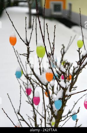 Colorful easter eggs with fresh snow Stock Photo